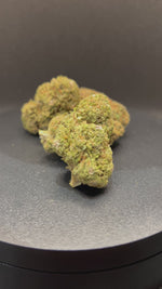 Orange Fritter
